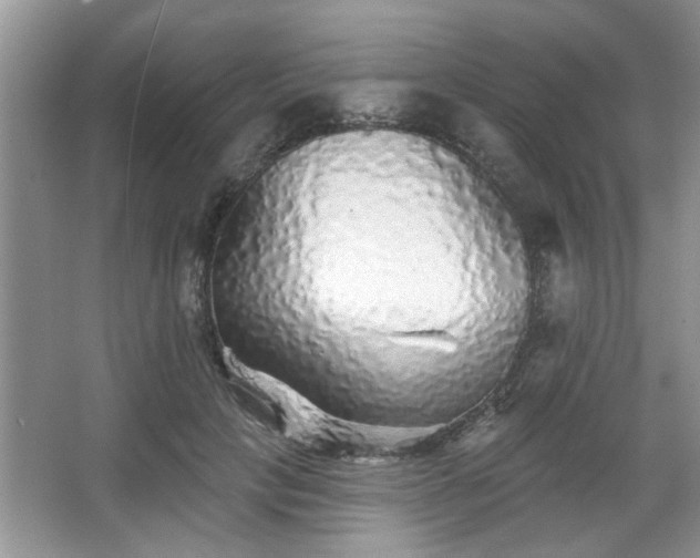 X0000067370649200604031034