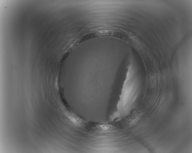 X0000067370654200604031035