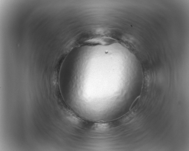 X0000067370665200604031035