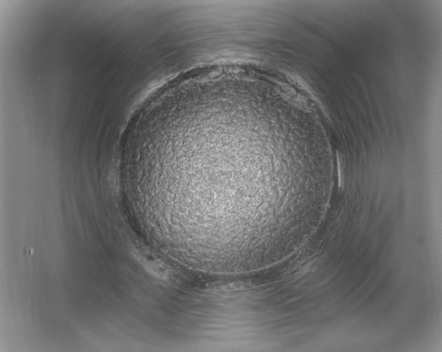 X0000067370675200604031034