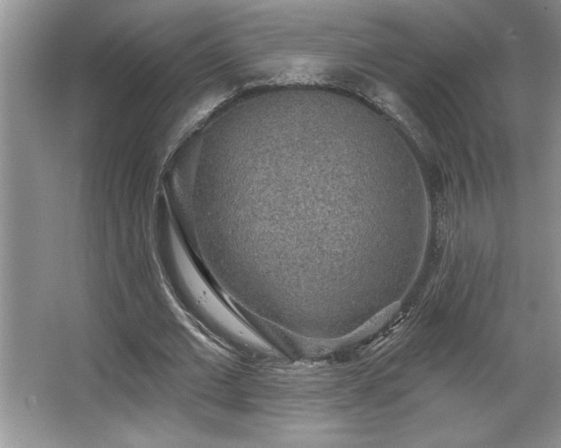 X0000067370677200604031034