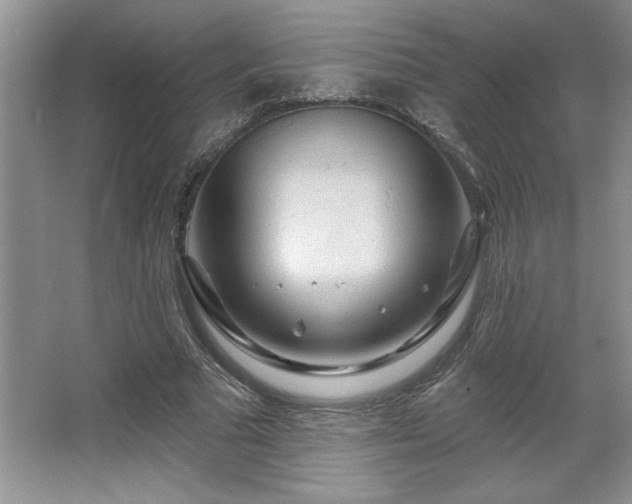 X0000067370681200604031034