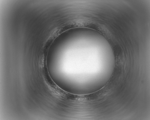 X0000067370694200604031034