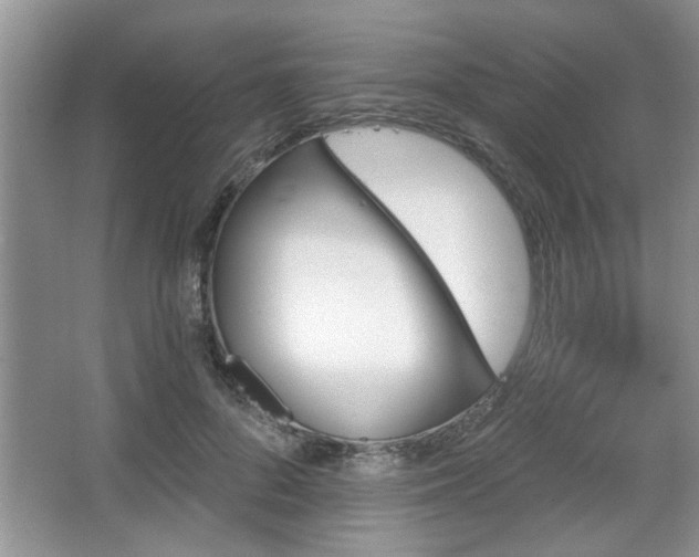 X0000067370696200604031034
