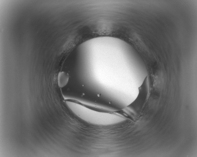 X0000067370697200604031034
