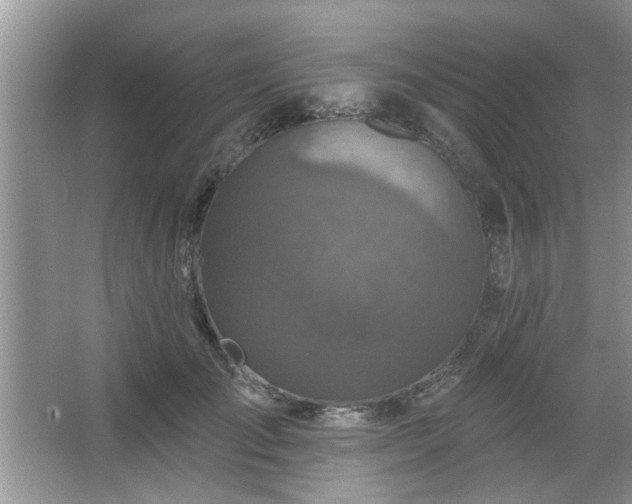 X0000067370701200604031034