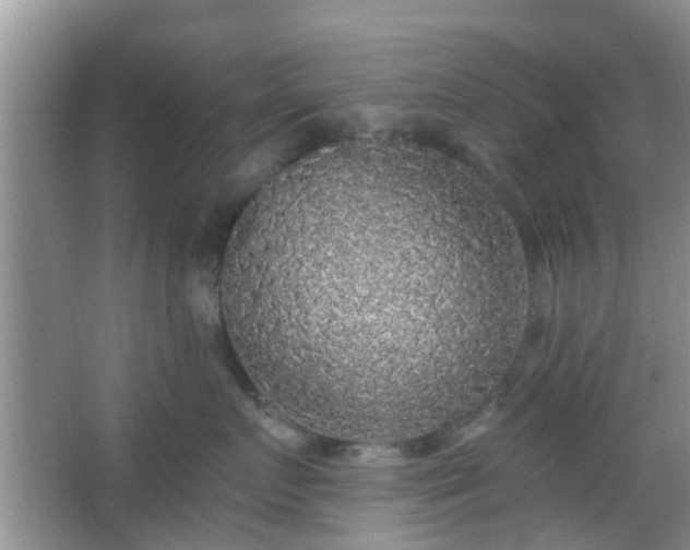 X0000067370719200604031033