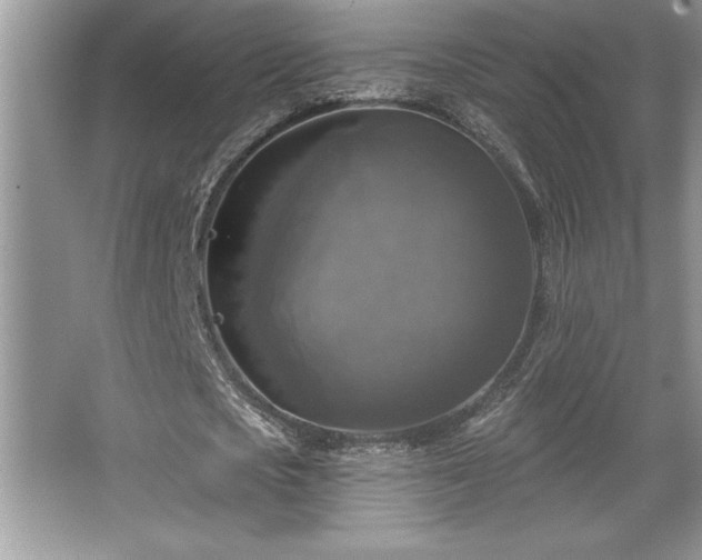 X0000067370721200604031032