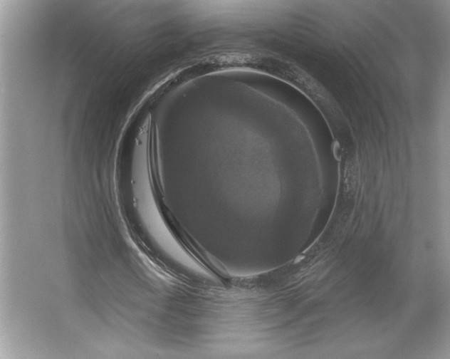 X0000067370722200604031032