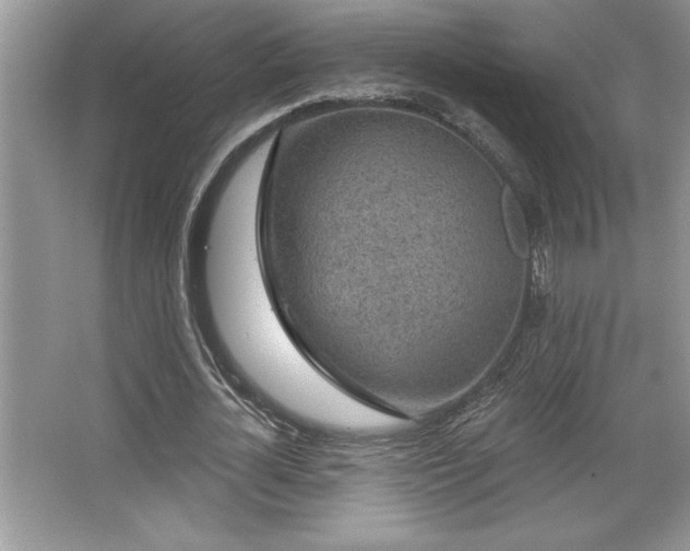 X0000067370724200604031032