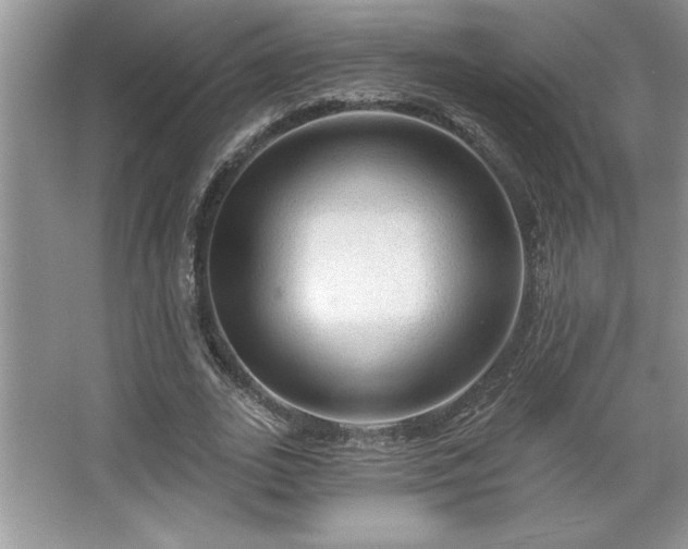 X0000067370727200604031033