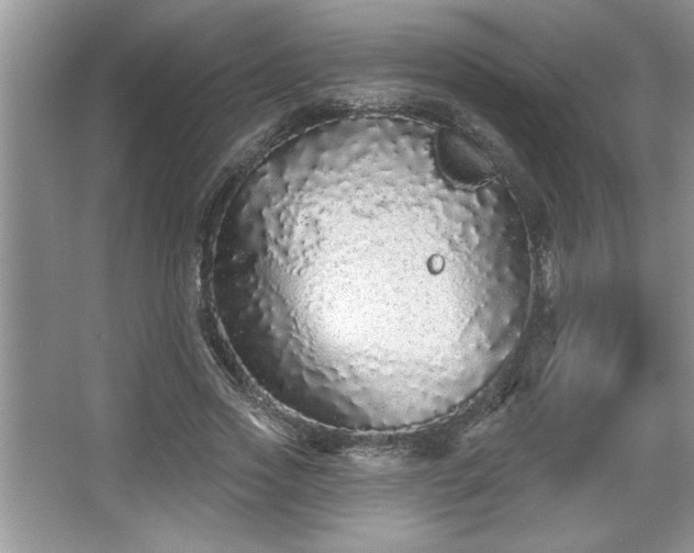 X0000067370733200604031033