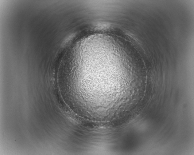 X0000067370737200604031033