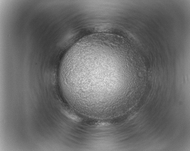 X0000067370741200604031033