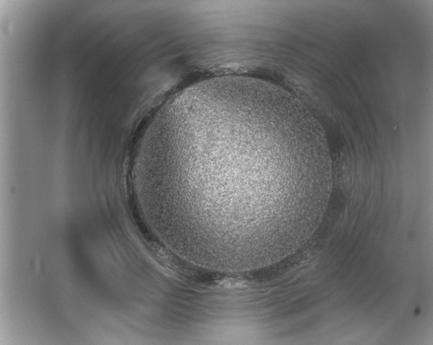 X0000067370742200604031033