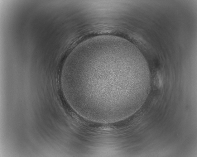 X0000067370743200604031033