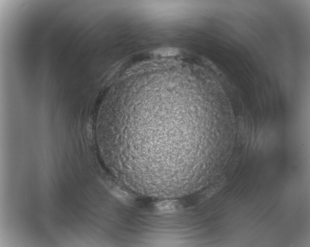 X0000067370761200604031033