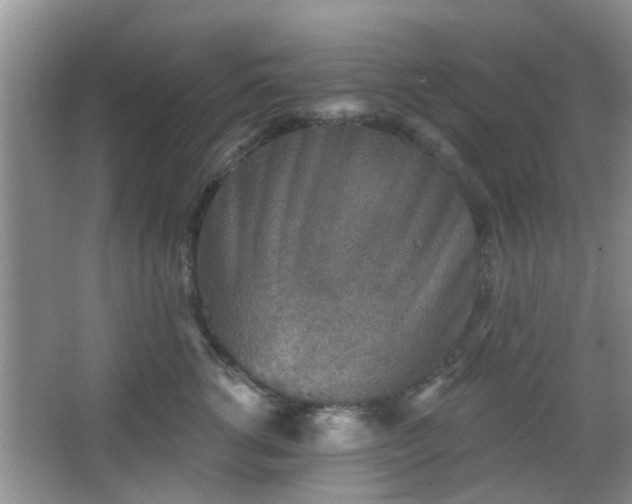 X0000067370762200604031033
