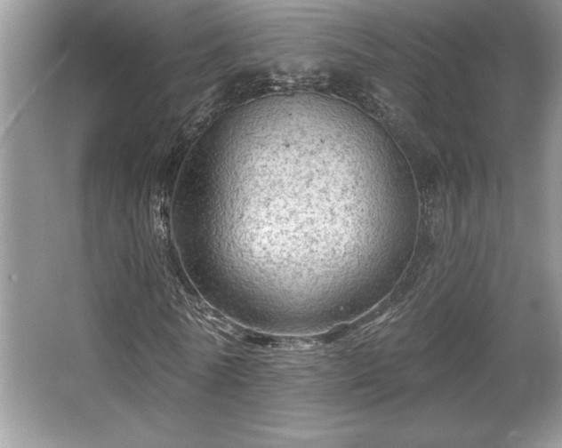 X0000067370770200604031032