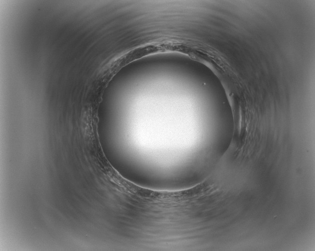 X0000067370773200604031032