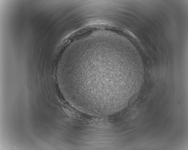 X0000067370775200604031032