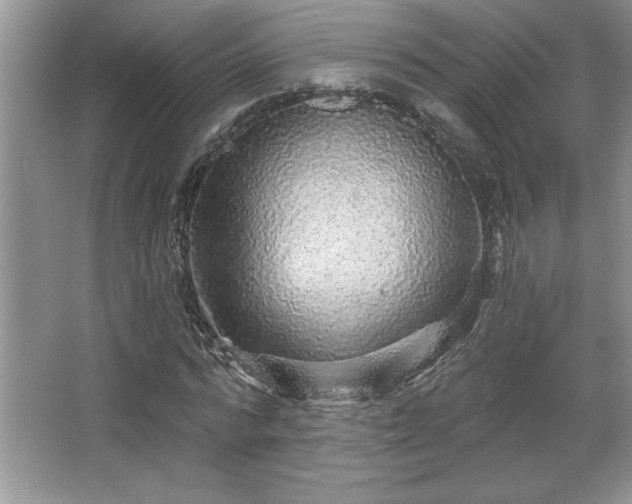 X0000067370776200604031032