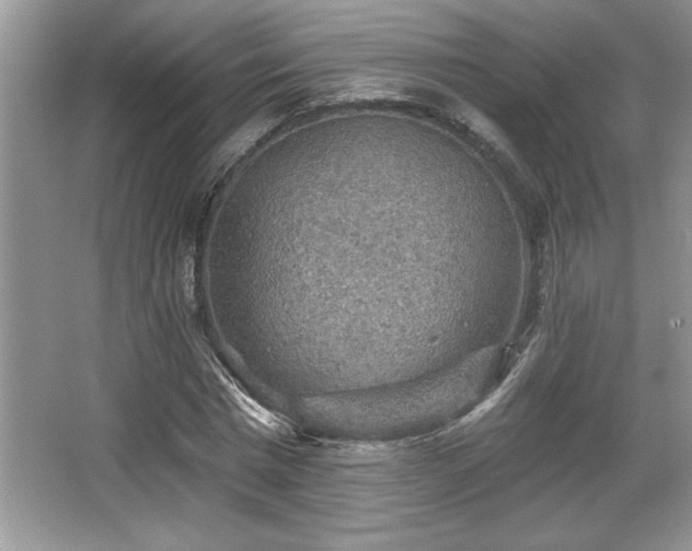 X0000067370777200604031032