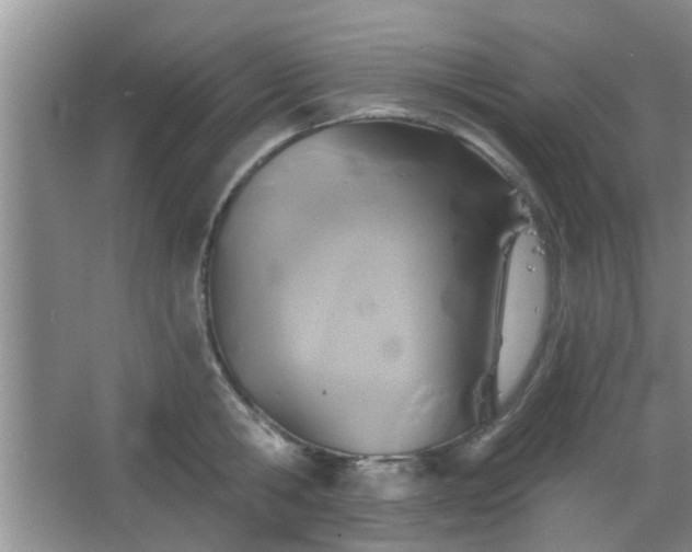 X0000067370806200604031032