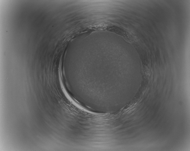 X0000067370818200604031031