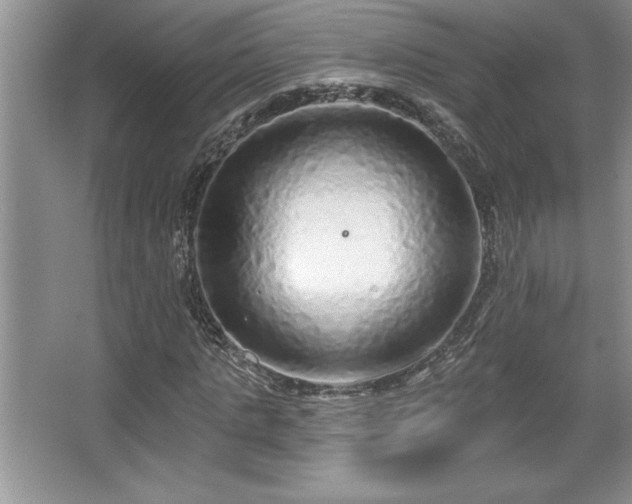X0000067370821200604031031