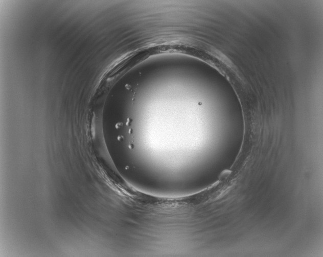 X0000067370826200604031031