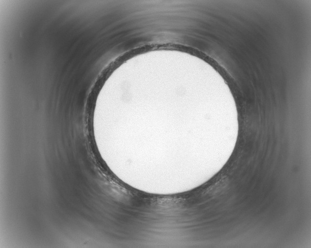 X0000067370832200604031031