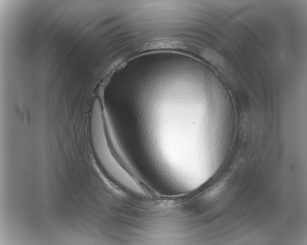 X0000067370841200604031031