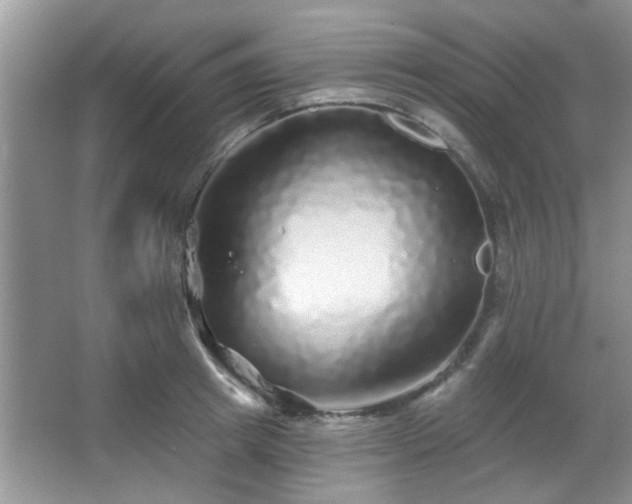 X0000067370849200604031031