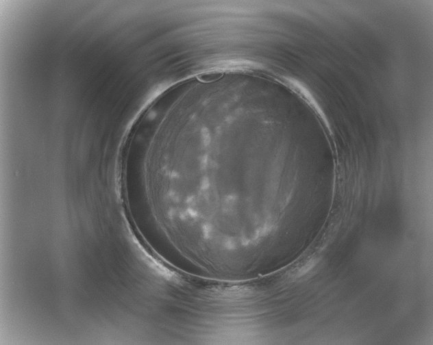 X0000067370851200604031031