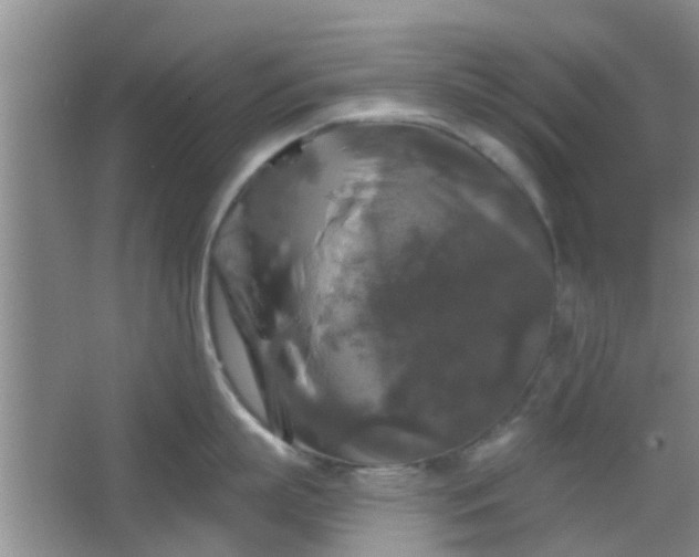 X0000067370863200604031032