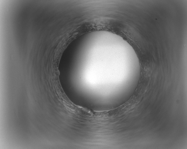 X0000067370865200604031031