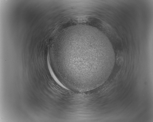 X0000067370866200604031031