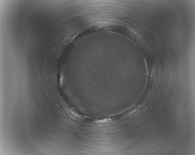 X0000067370868200604031031