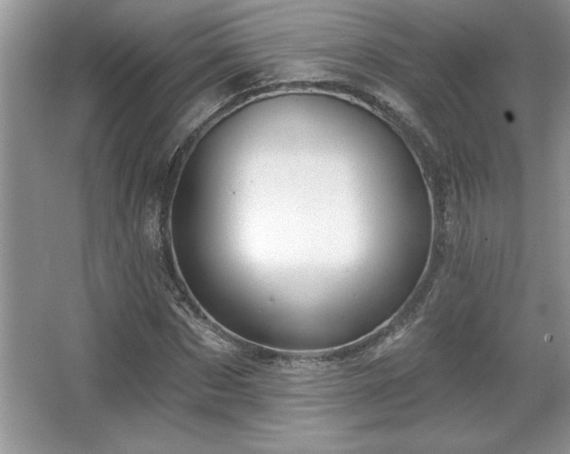 X0000067370873200604031031