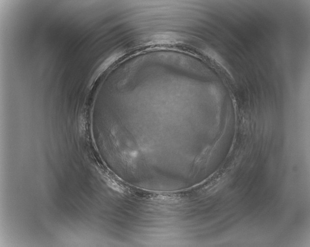 X0000067370874200604031031