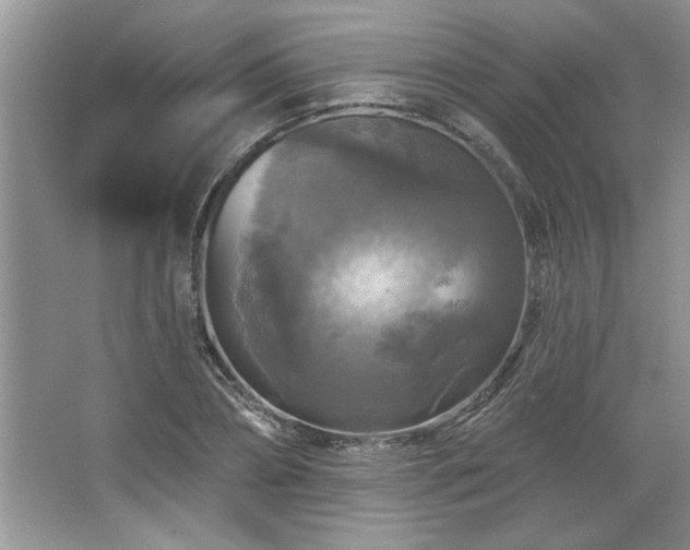 X0000067370882200604031031