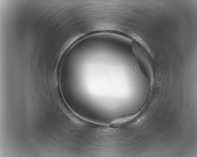 X0000067370885200604031030