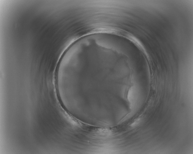 X0000067370907200604031030
