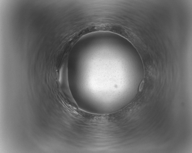 X0000067370914200604031029