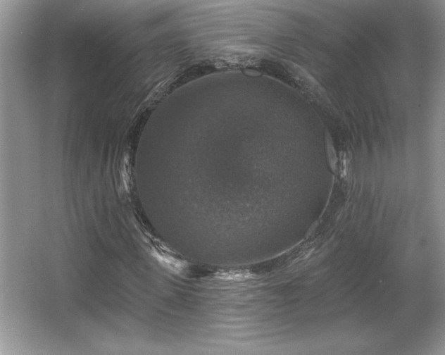 X0000067370915200604031029
