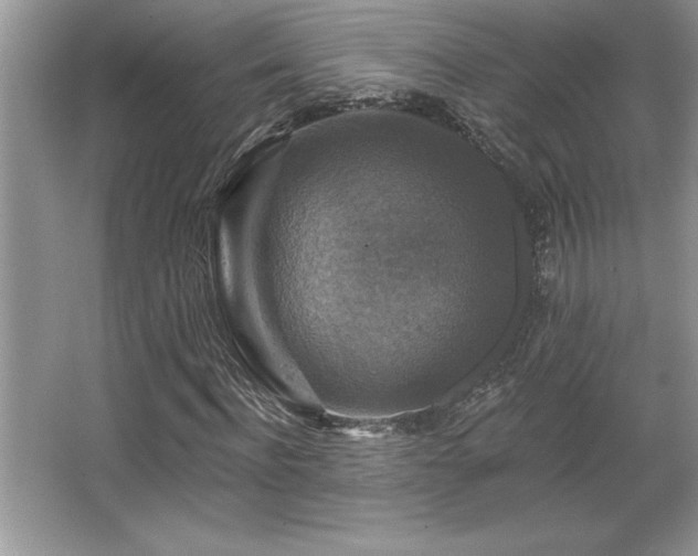X0000067370916200604031029