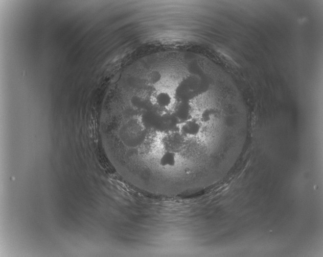 X0000067370917200604031029
