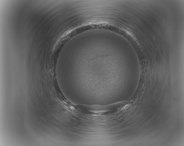 X0000067370920200604031029