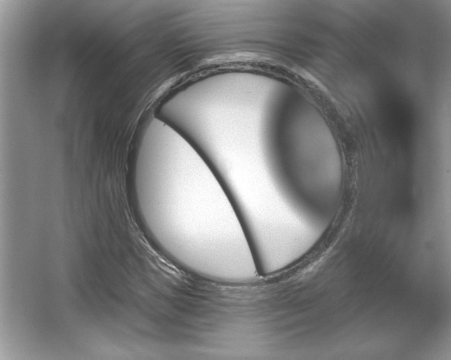 X0000067370921200604031029